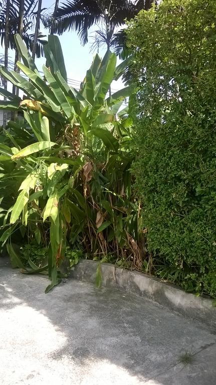 Patong Baantonsai Garden Resort מראה חיצוני תמונה